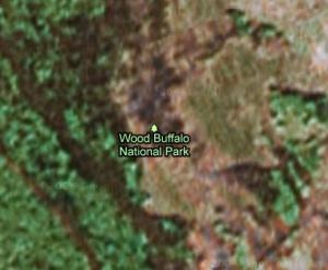 Biberdamm, Google Maps, höchster Zoom